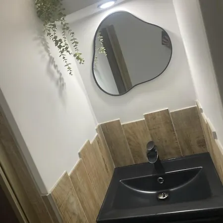 Petit Boudha Climatise Mezzanine Renove Parking 400m 50m Commerces *